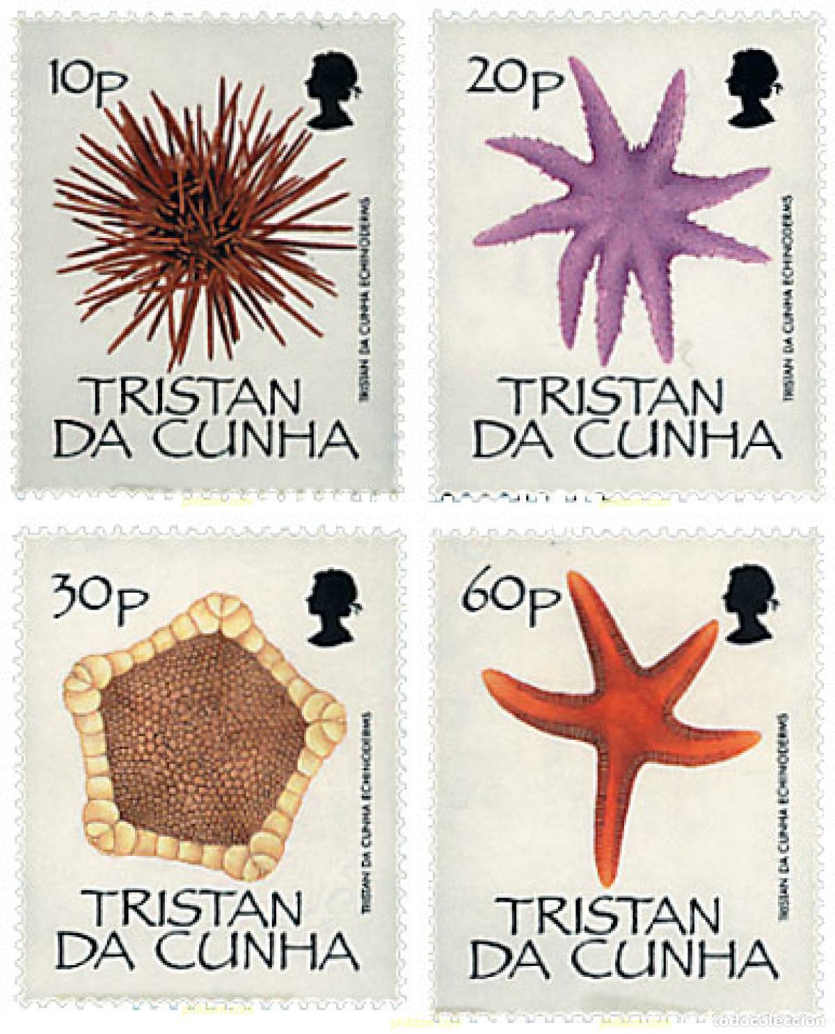 Sellos: 42744 MNH TRISTAN DA CUNHA 1990 FAUNA MARINA