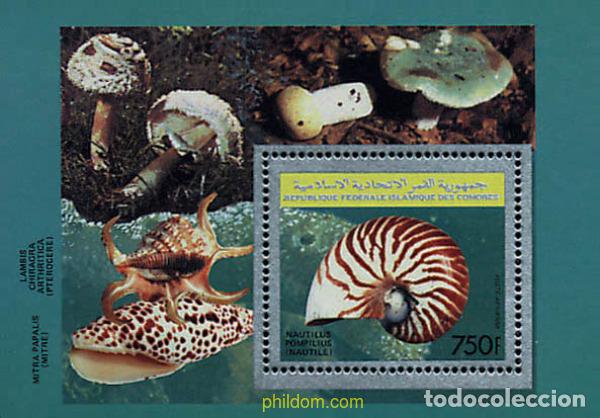 Sellos: 34507 MNH COMORES 1992 FAUNA MARINA. CONCHAS