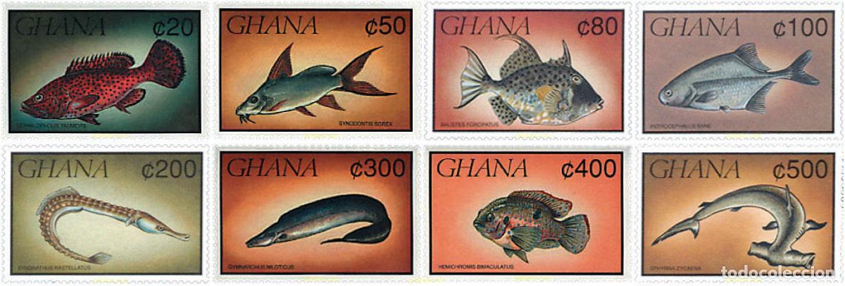 Sellos: 89501 MNH GHANA 1991 FAUNA MARINA