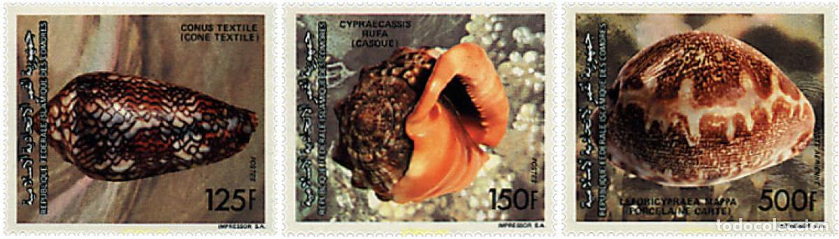 Sellos: 53195 MNH COMORES 1992 FAUNA MARINA. CONCHAS