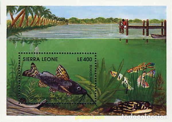 Sellos: 362118 MNH SIERRA LEONA 1991 PEZ DE AGUA DULCE