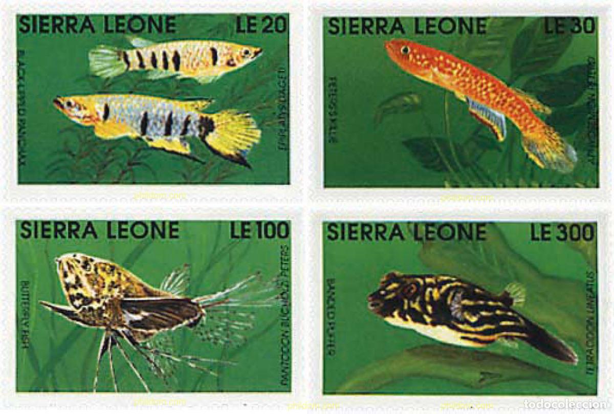 Sellos: 329431 MNH SIERRA LEONA 1991 PECES DE AGUA DULCE
