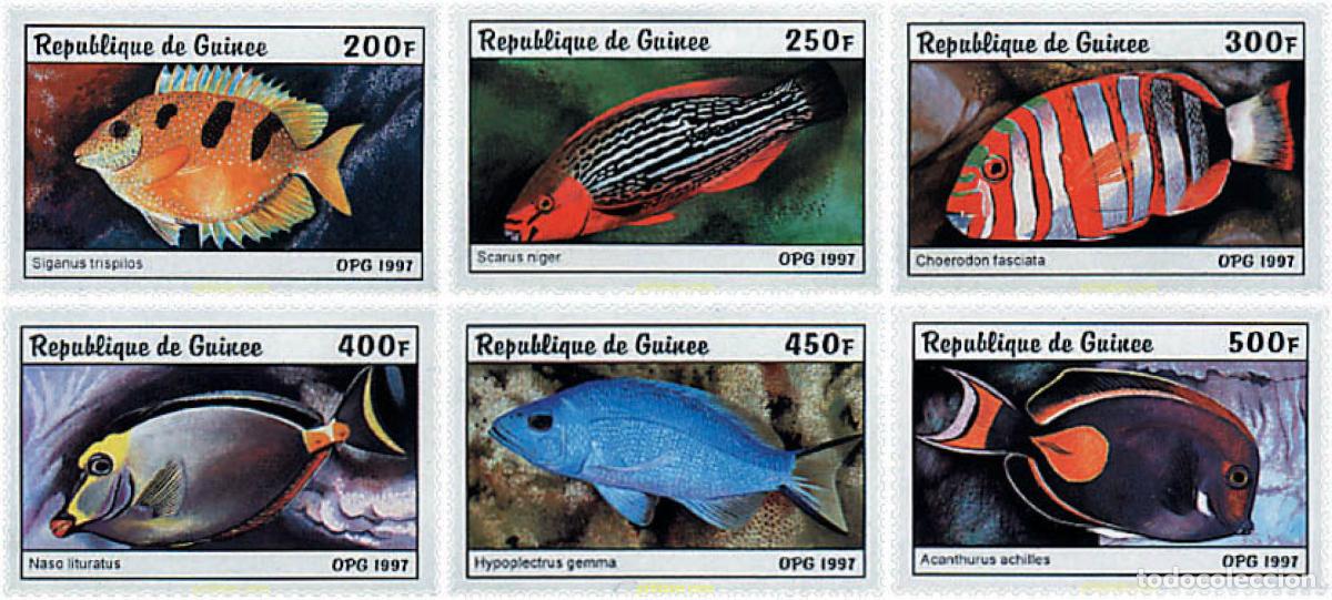 Sellos: 74369 MNH GUINEA 1997 PECES