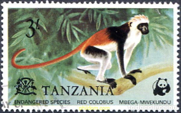 Sellos: 285871 USED TANZANIA 1977 FAUNA EN PELIGRO DE EXTINCION