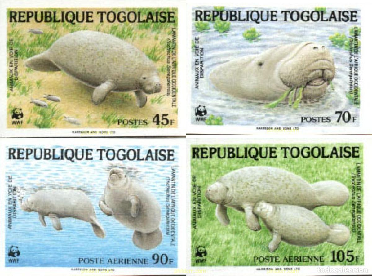 Sellos: 14959 MNH TOGO 1984 FAUNA EN PELIGRO DE EXTINCION