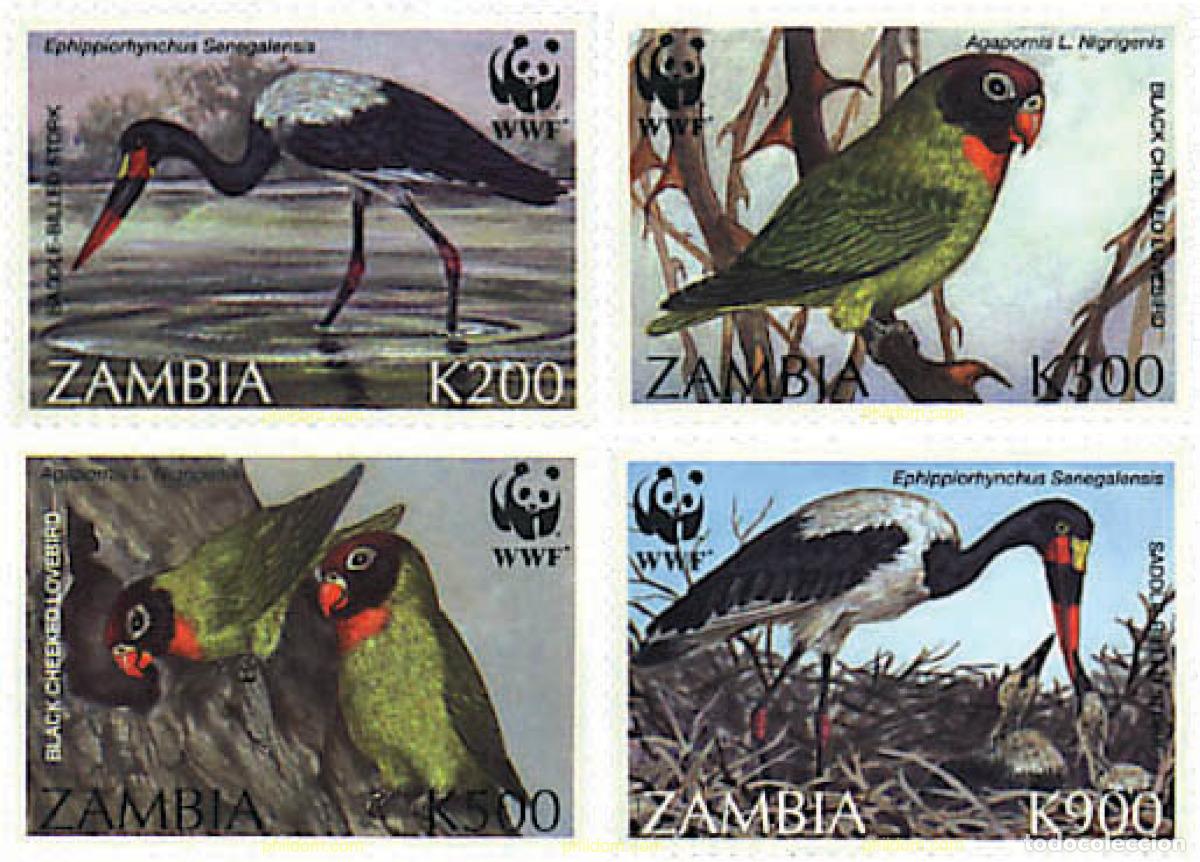 Sellos: 74392 MNH ZAMBIA 1996 AVES PROTEGIDAS