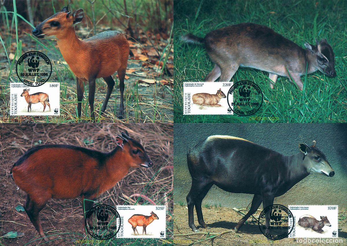 Sellos: 7429 MNH TOGO 1996 DUIKERS