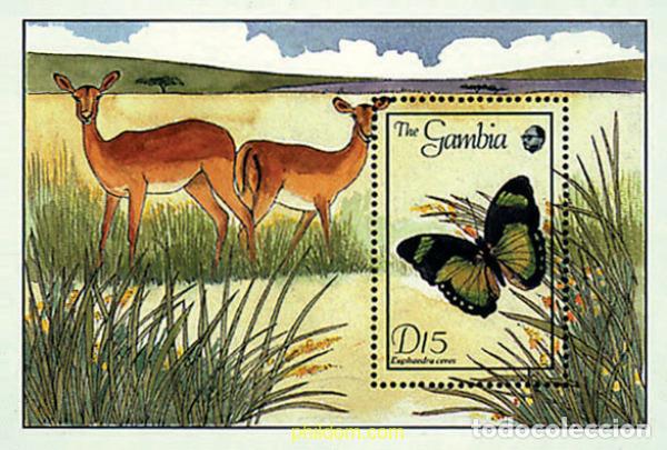 Sellos: 316810 MNH GAMBIA 1989 MARIPOSAS