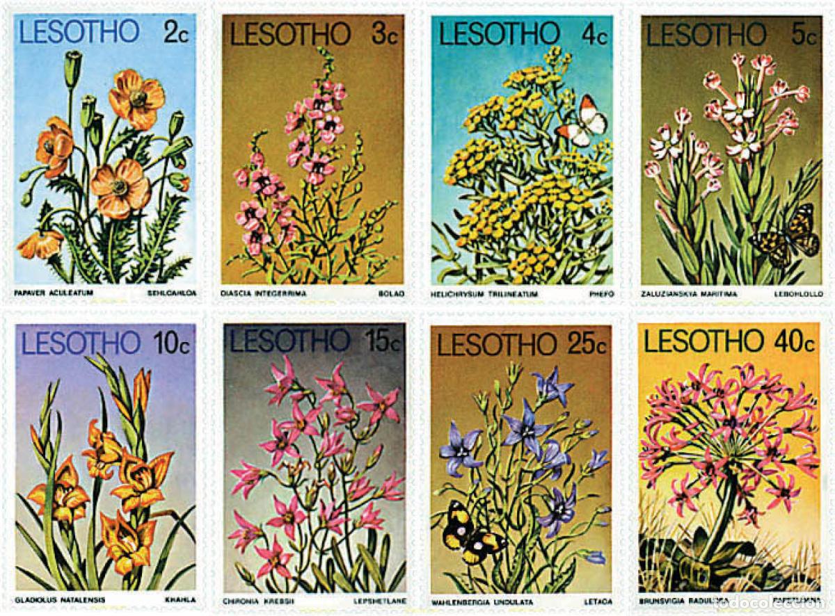 Sellos: 94305 MNH LESOTHO 1978 FLORES