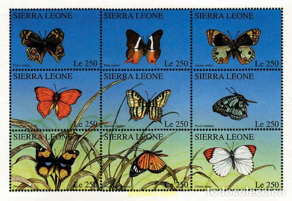 Sellos: 240912 MNH SIERRA LEONA 1996 MARIPOSAS