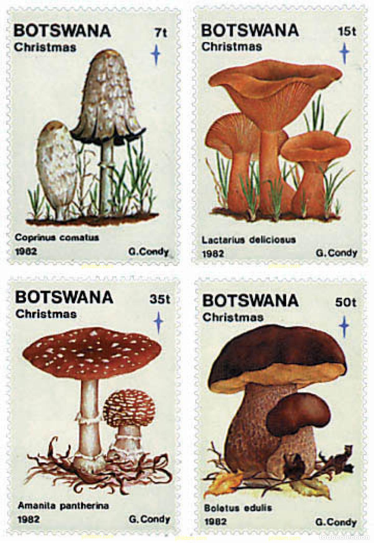 Sellos: 34964 MNH BOTSWANA 1982 NAVIDAD