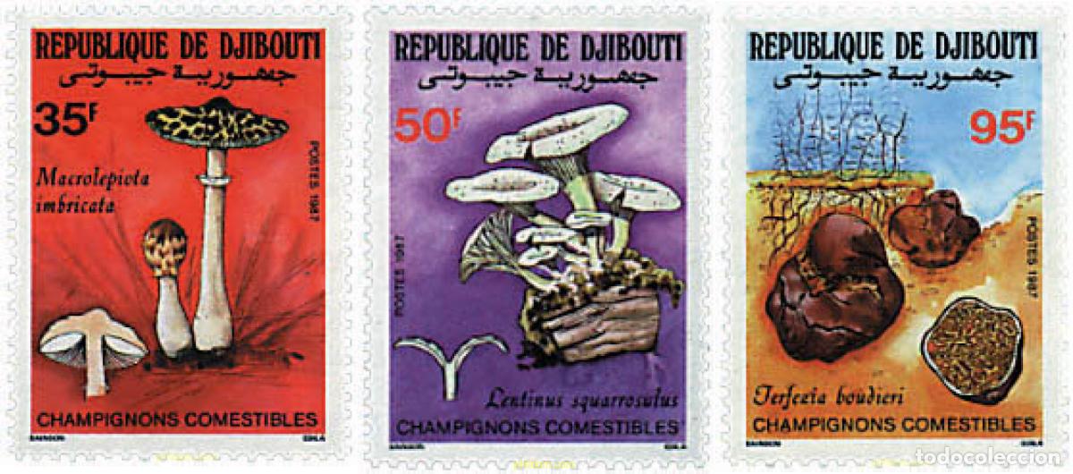Sellos: 37427 MNH DJIBOUTI 1987 SETAS