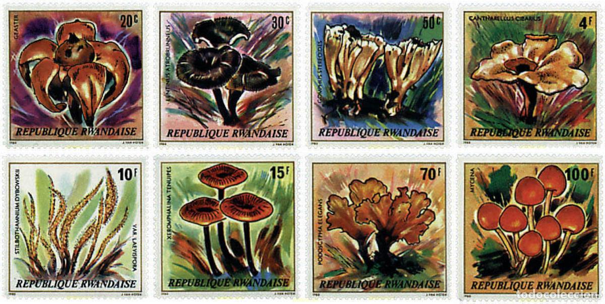 Sellos: 56544 MNH RUANDA 1980 SETAS