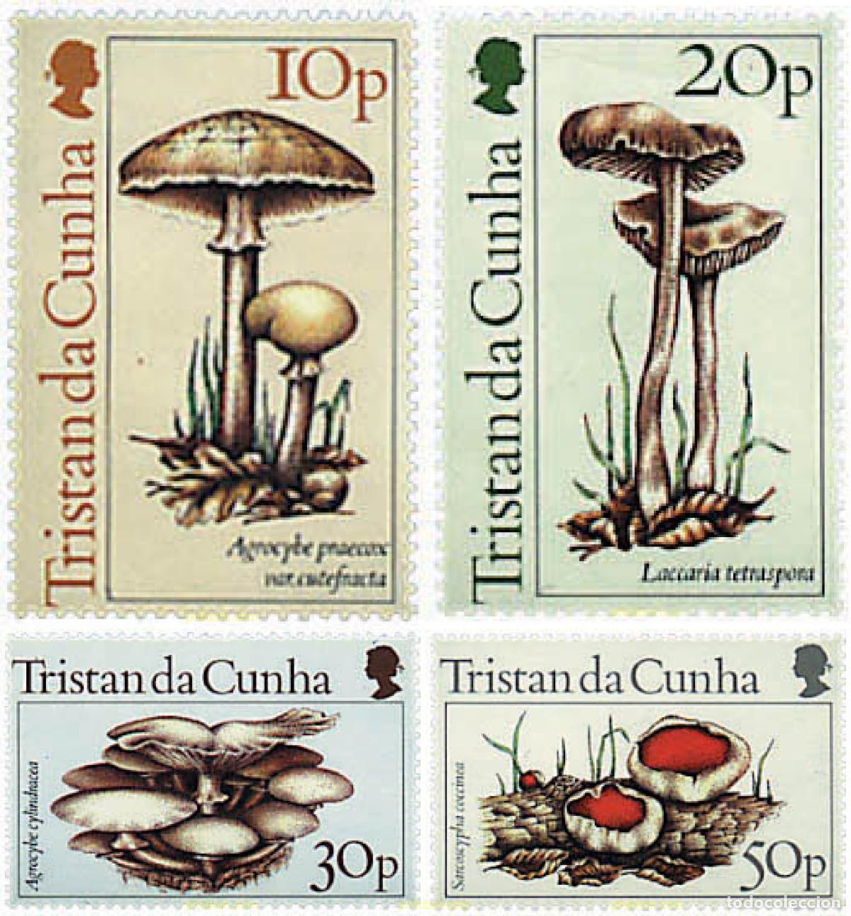 Sellos: 34525 MNH TRISTAN DA CUNHA 1984 SETAS