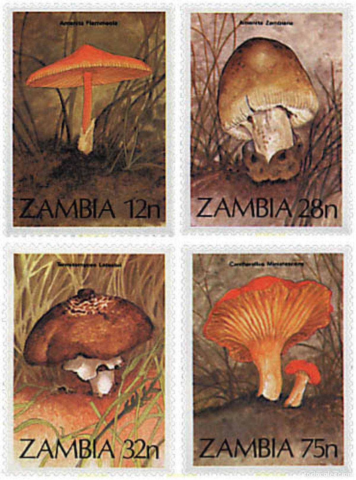 Sellos: 35106 MNH ZAMBIA 1984 SETAS