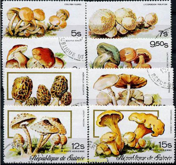Sellos: 213290 USED GUINEA 1977 SETAS