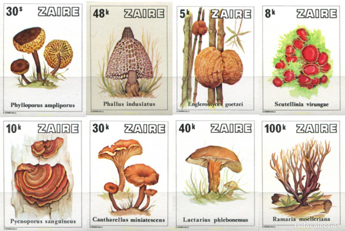 Sellos: 21251 MNH ZAIRE 1979 SETAS