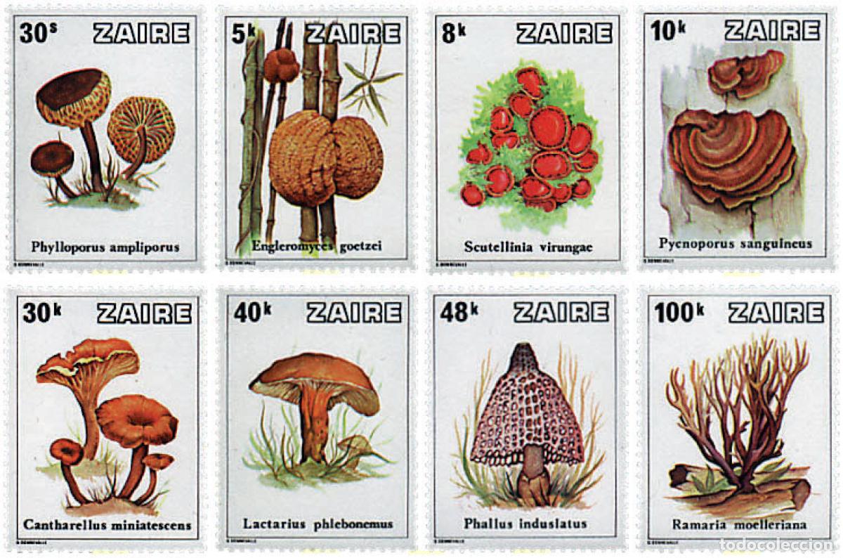 Sellos: 61398 MNH ZAIRE 1979 SETAS