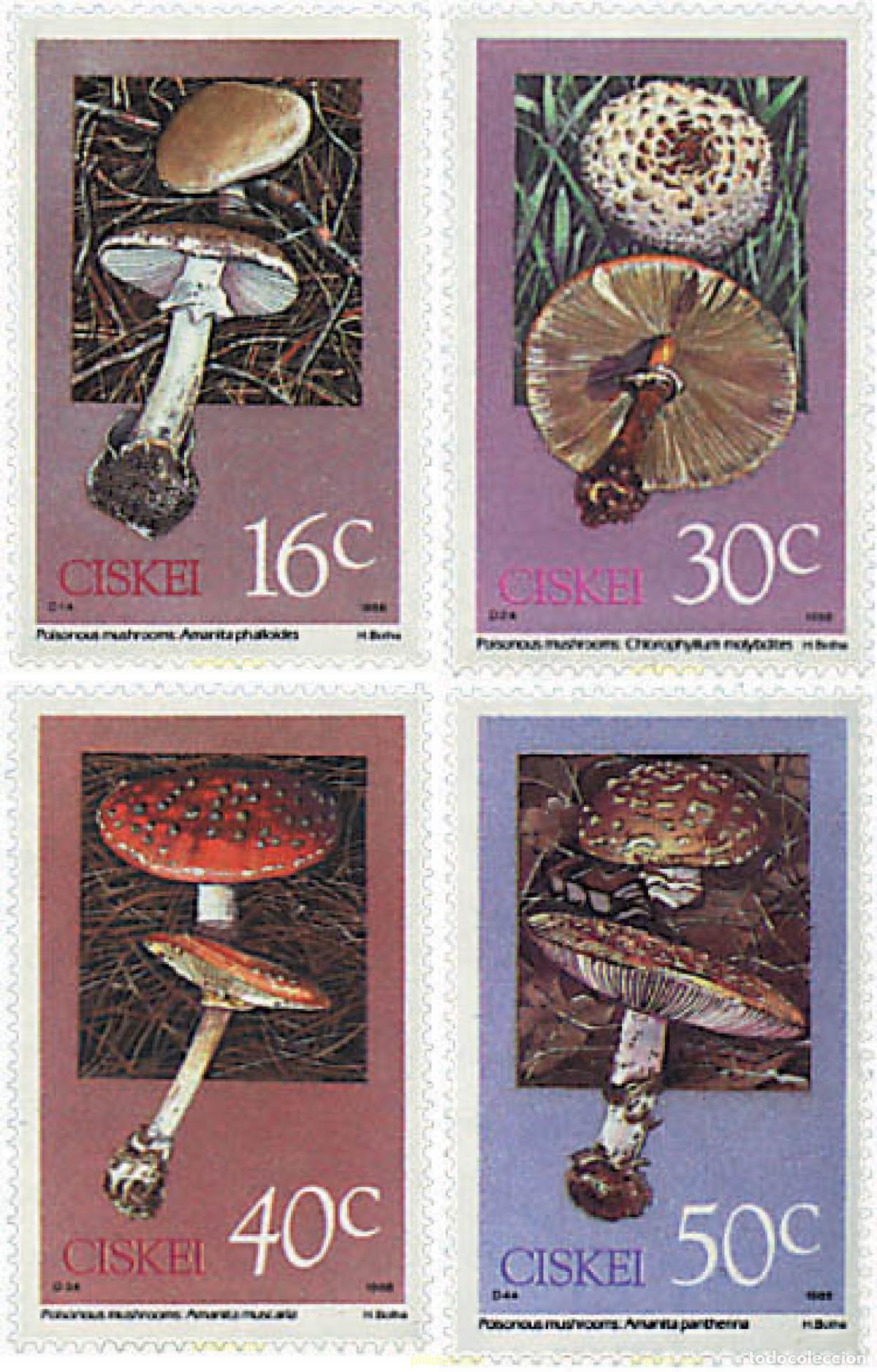 Sellos: 34523 MNH CISKEI 1988 SETAS