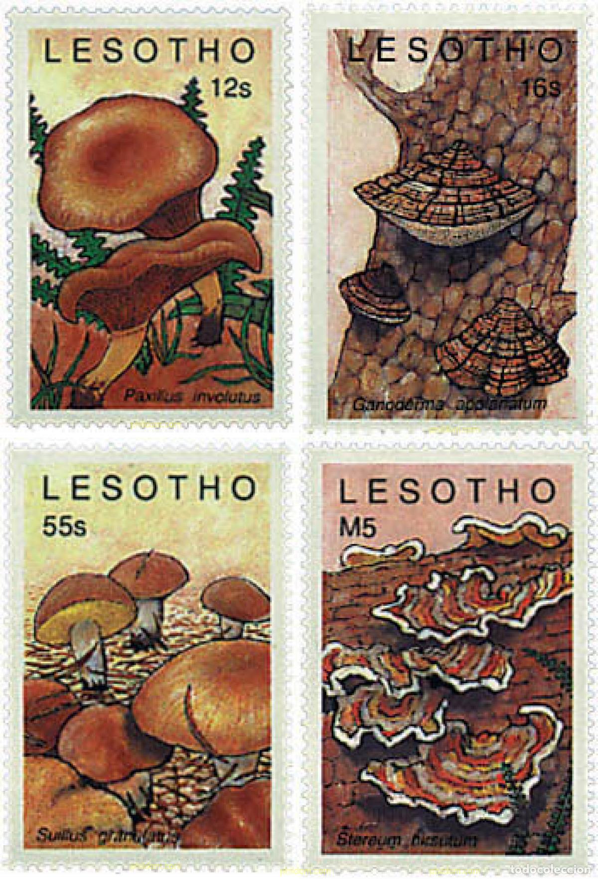 Sellos: 35824 MNH LESOTHO 1989 SETAS