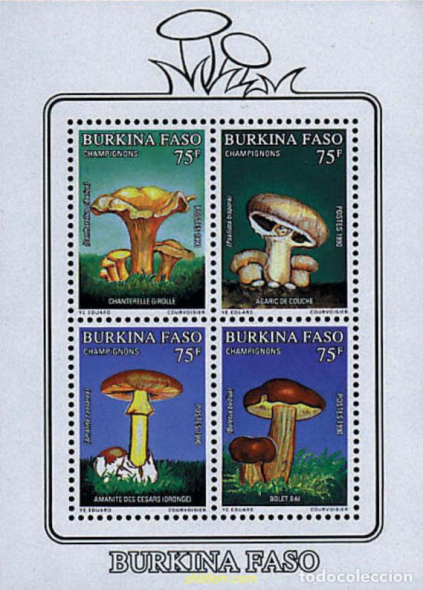 Sellos: 34564 MNH BURKINA FASO 1990 SETAS