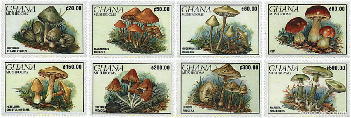Briefmarken: 37487 MNH GHANA 1990 SETAS