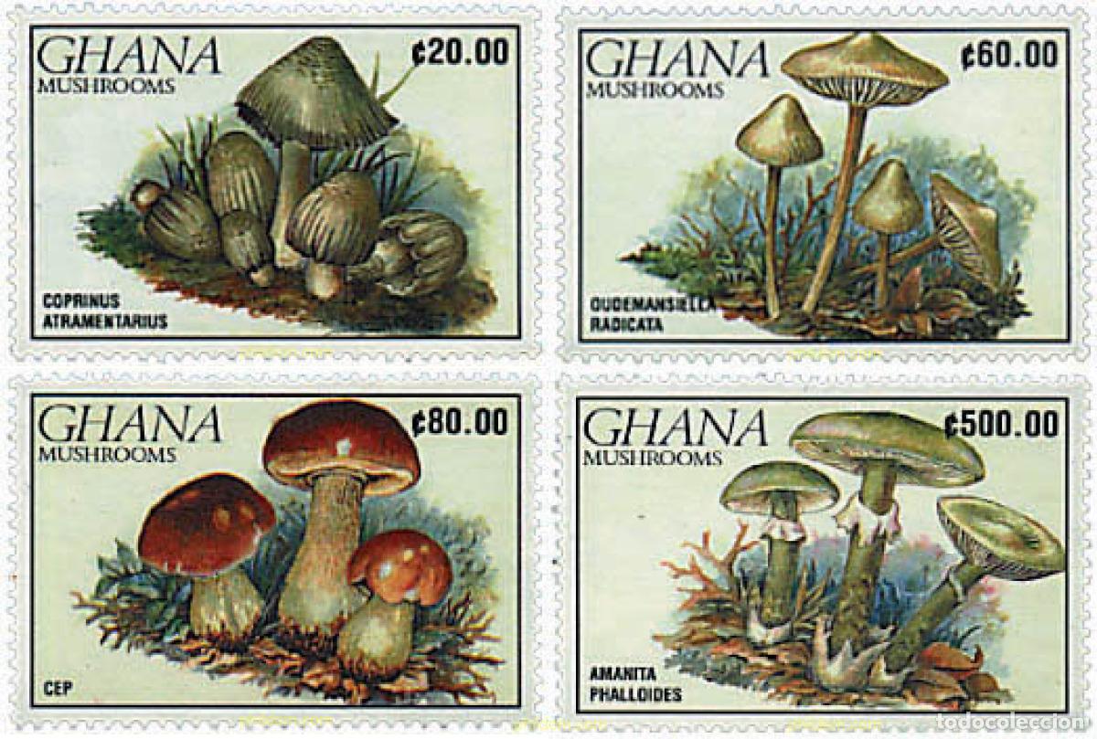 Briefmarken: 253906 MNH GHANA 1990 SETAS