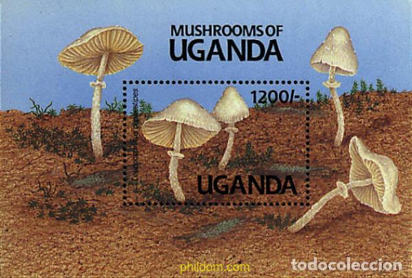 Briefmarken: 296802 MNH UGANDA 1991 SETAS