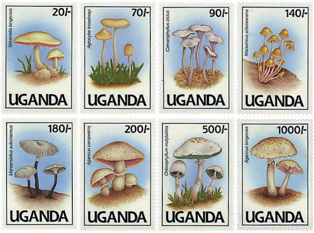 Sellos: 34539 MNH UGANDA 1991 SETAS