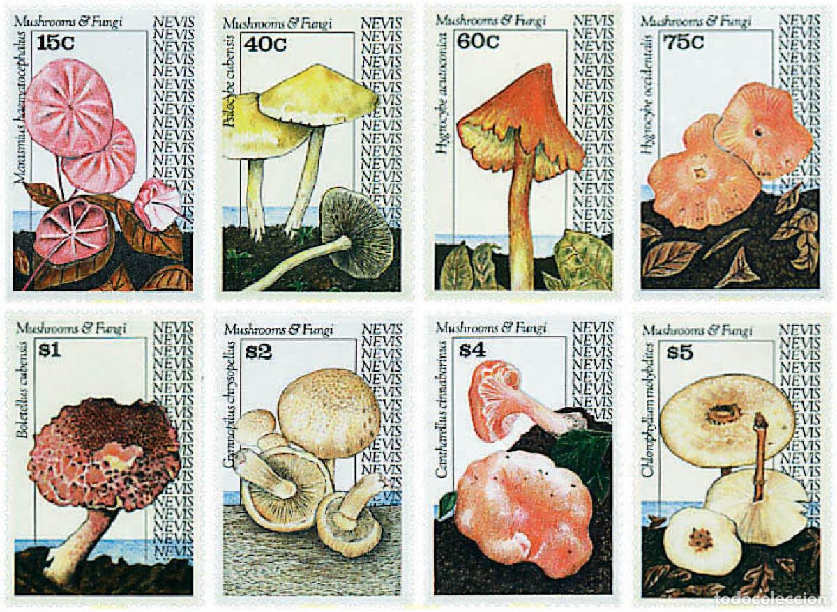 Sellos: 35075 MNH NEVIS 1991 SETAS