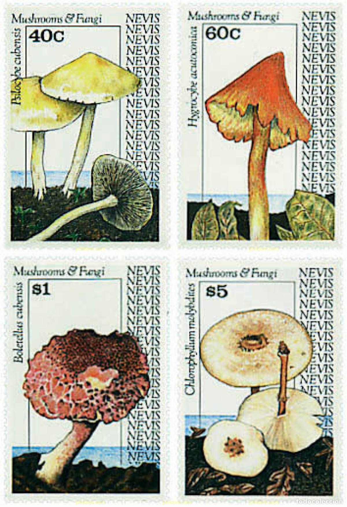 Sellos: 347379 MNH NEVIS 1991 SETAS