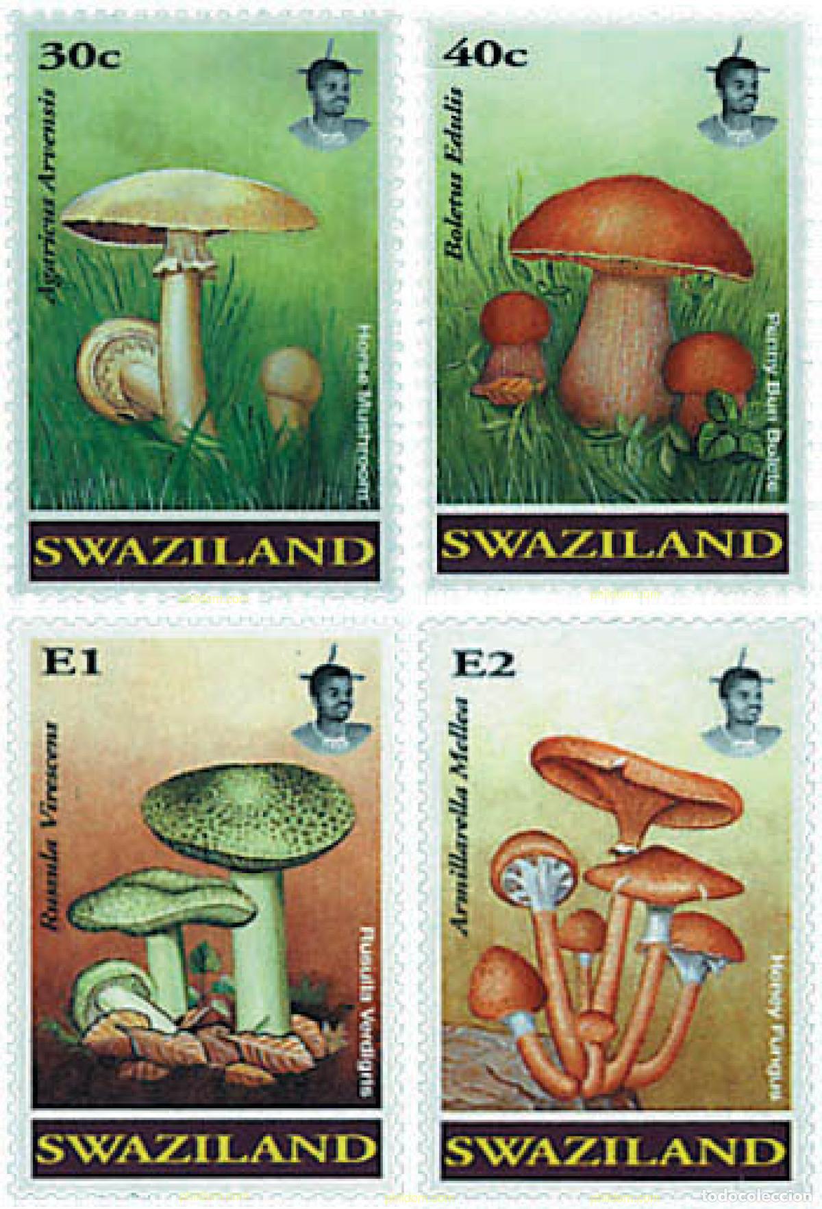 Sellos: 36170 MNH SWAZILANDIA 1994 SETAS