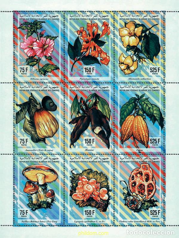 Sellos: 288535 MNH COMORES 1994 FLORA