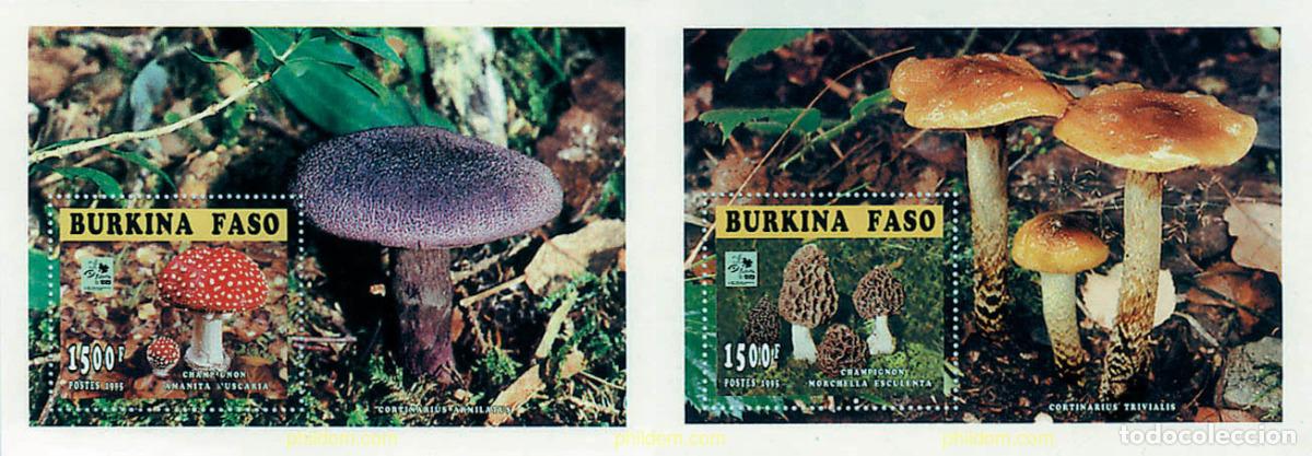 Sellos: 70265 MNH BURKINA FASO 1996 18 JAMBOREE MUNDIAL EN HOLANDA