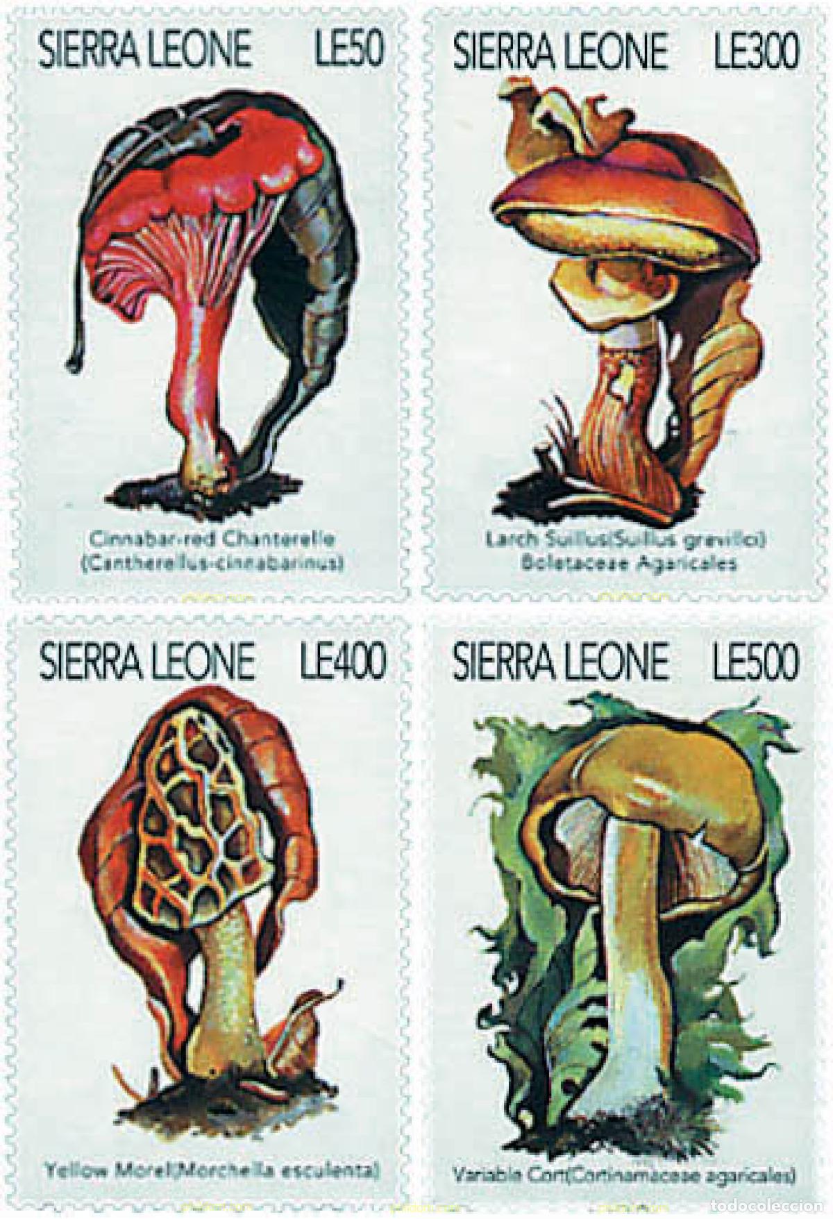 Sellos: 37167 MNH SIERRA LEONA 1996 SETAS