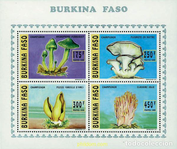 Sellos: 10596 MNH BURKINA FASO 1996 SETAS