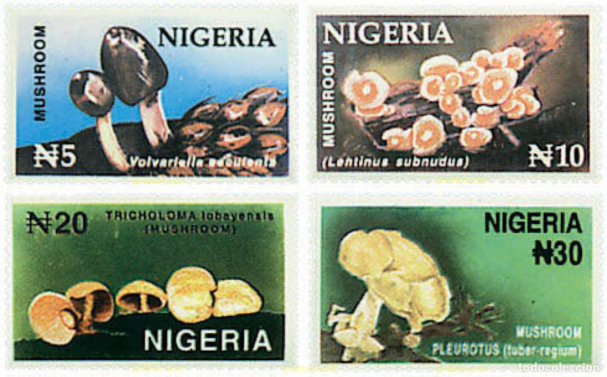 Sellos: 34572 MNH NIGERIA 1996 SETAS