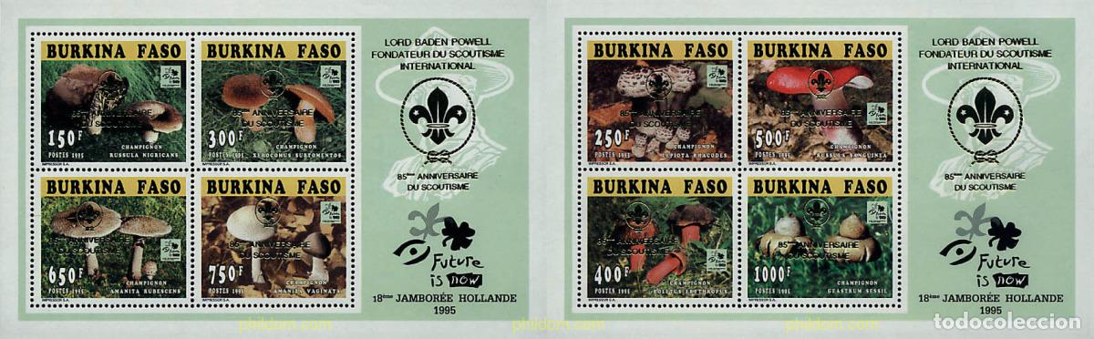 Sellos: 12607 MNH BURKINA FASO 1996 18 JAMBOREE MUNDIAL EN HOLANDA