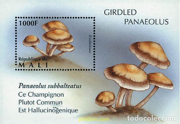 Sellos: 592929 MNH MALI 1996 SETAS
