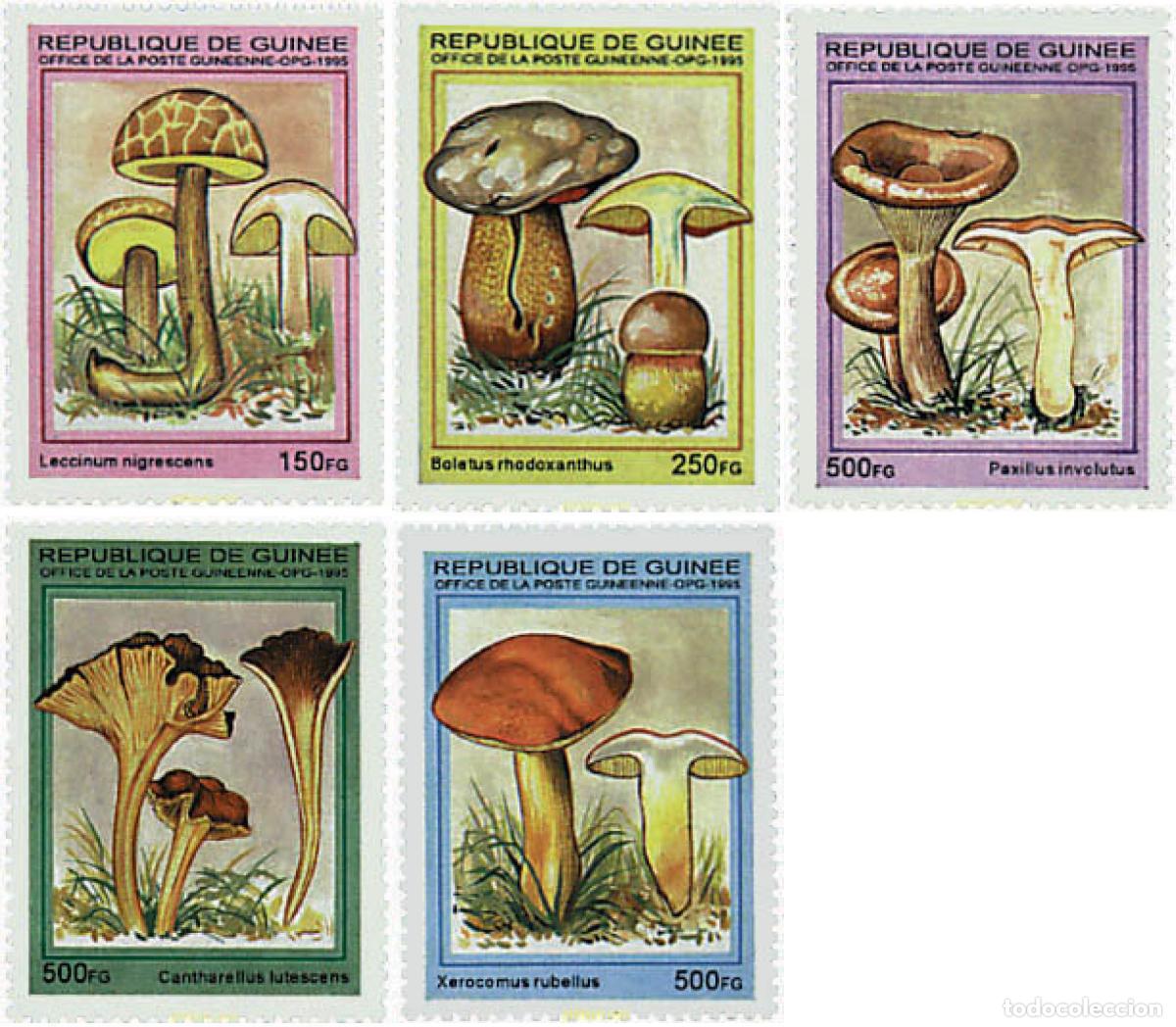 Sellos: 34914 MNH GUINEA 1995 SETAS