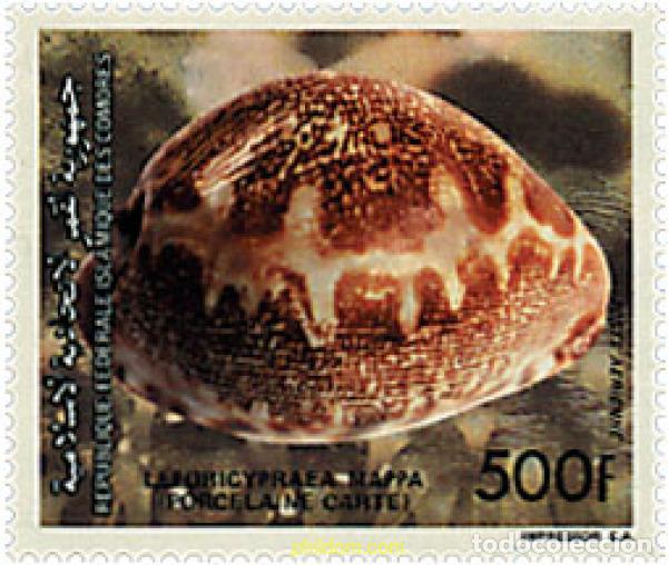 Sellos: 607662 MNH COMORES 1992 FAUNA MARINA. CONCHAS