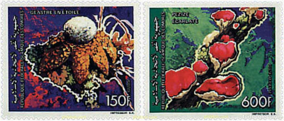 Sellos: 607661 MNH COMORES 1992 SETAS