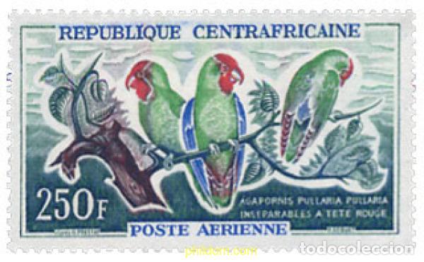 Sellos: 607189 MNH CENTROAFRICANA 1962 AVES