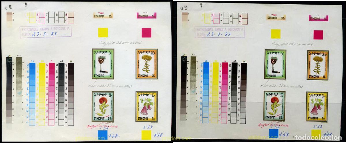 Sellos: 214359 MNH ETIOPIA 1984 FLORES AFRICANAS