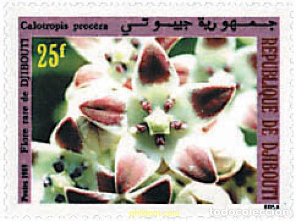 Sellos: 83721 MNH DJIBOUTI 1989 FLORA DE DJIBOUTI