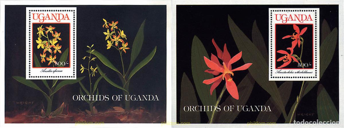 Sellos: 92413 MNH UGANDA 1989 ORQUIDEAS DE UGANDA