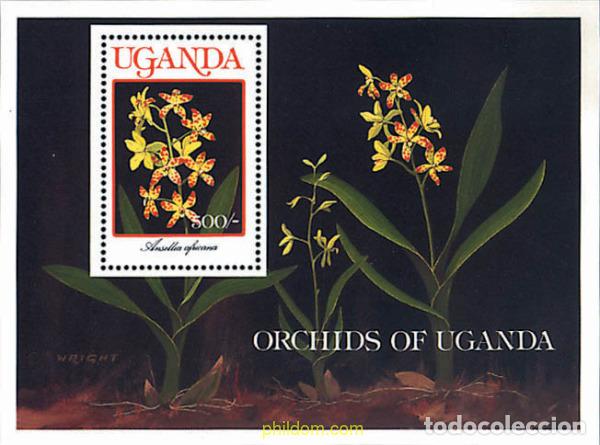 Sellos: 297804 MNH UGANDA 1989 ORQUIDEAS DE UGANDA