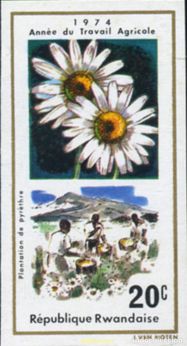 Sellos: 222012 MNH RUANDA 1975 A&Ntilde;O DEL TRABAJO AGRICOLA