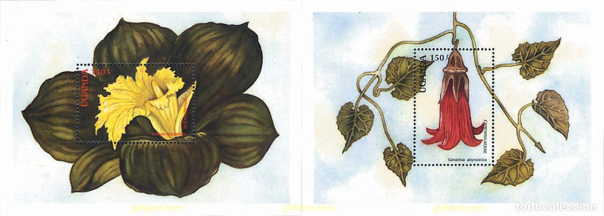 Sellos: 92412 MNH UGANDA 1988 FLORES