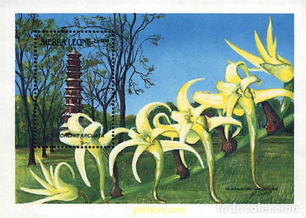 Sellos: 294668 MNH SIERRA LEONA 1989 ORQUIDEAS